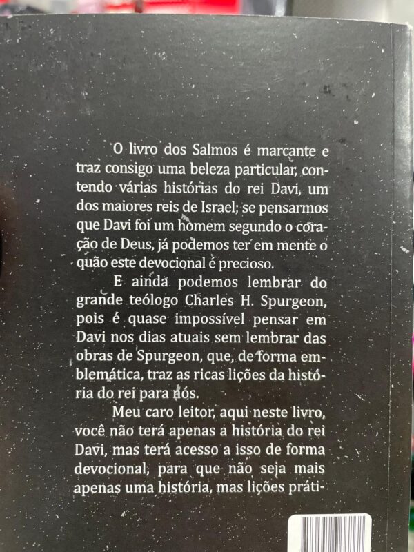 DEVOCIONAL TESOUROS DE DAVI 180 à DEVOCIONAIS DIÁRIOS INSPIRADOS NOS SALMOS - Imagem 2