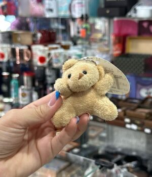 URSO DE PELÚCIA PEQUENO