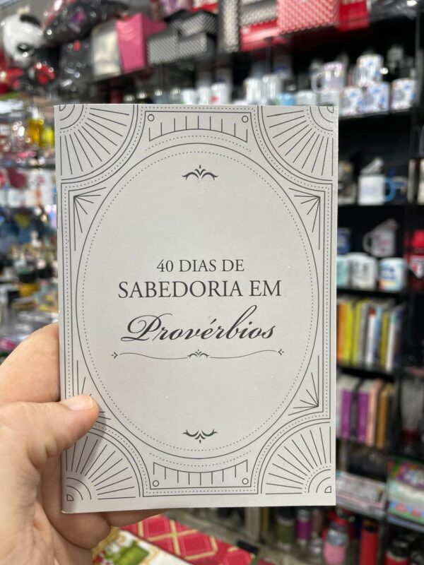 DEVOCIONAL 40 DIAS DE SABEDORIA EM PROVÉRBIOS