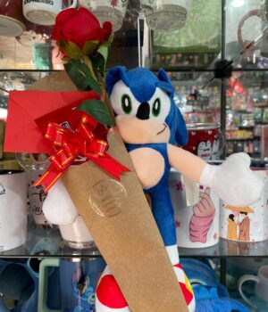 KIT SONIC ROMÂNTICO