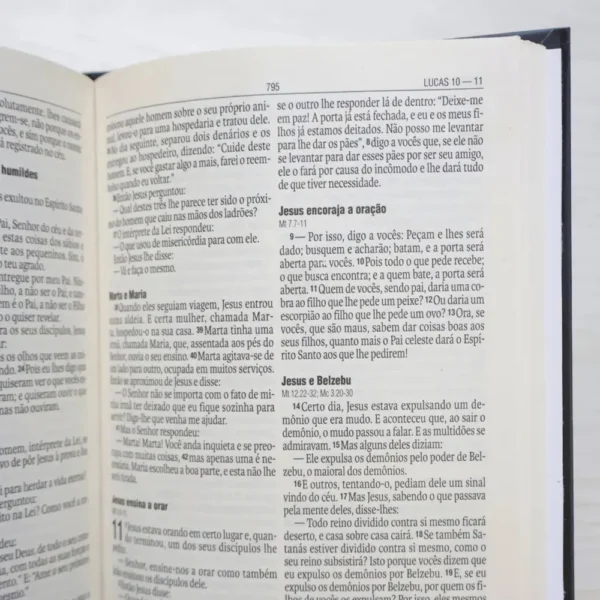 BÍBLIA NAA LEÃO CAPA DURA LETRA NORMAL - Imagem 2