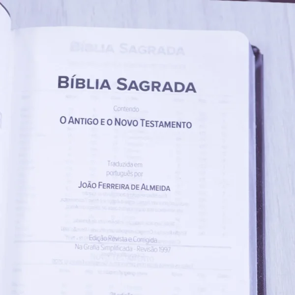 BÍBLIA ARC MARROM CAPA LUXO LETRA NORMAL - Imagem 2