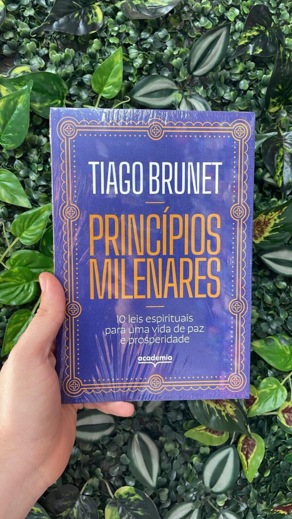 PRINCÍPIOS MILENARES - TIAGO BRUNET