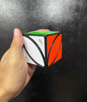 CUBO MÁGICO IVY CUBE