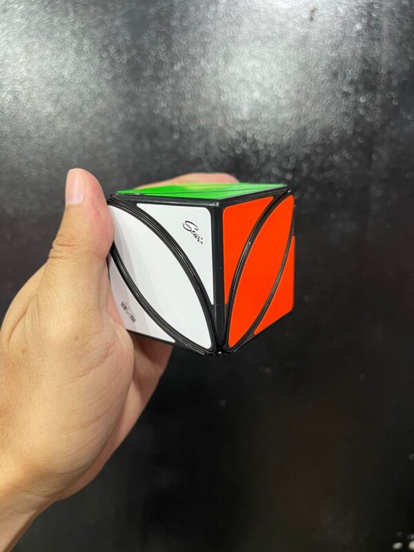 CUBO MÁGICO IVY CUBE