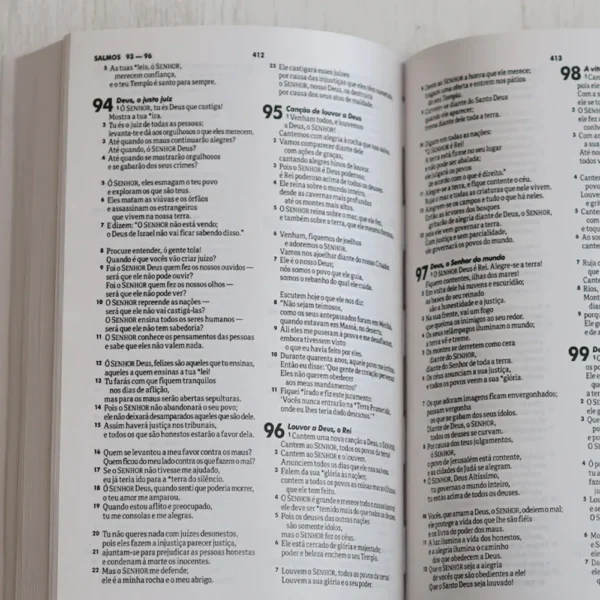 BÍBLIA NTLH CONFIE NO SENHOR CAPA BROCHURA PV 3:5-6 LETRA NORMAL - Imagem 2