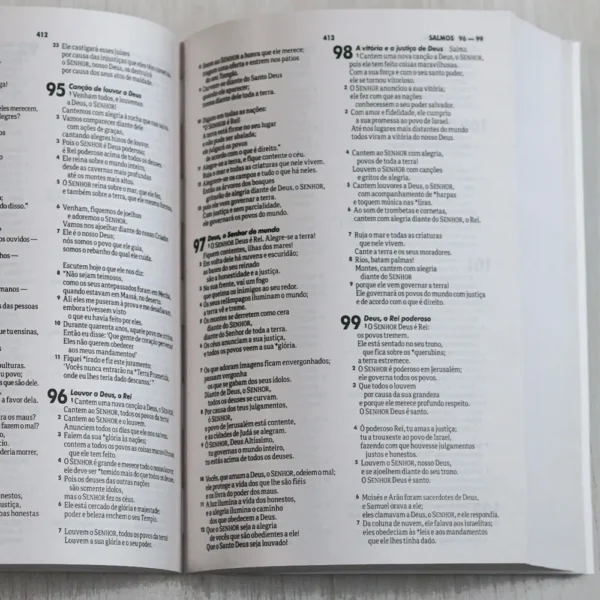 BÍBLIA NTLH LEÃO RAIZ DE DAVI CAPA BROCHURA AP 5:5 LETRA NORMAL - Imagem 2