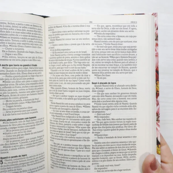 BÍBLIA NAA CRISÂNTEMO CAPA DURA JO 1:12 LETRA NORMAL - Imagem 2