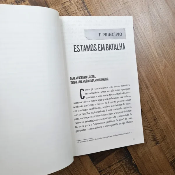 PRINCÍPIOS DA BATALHA ESPIRITUAL FABIO COELHO - Imagem 3
