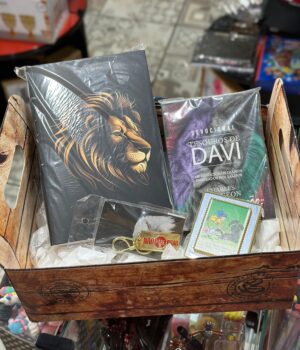 CESTA COM BIBLÍA + DEVOCIONAL + CAIXA DE PROMESSAS + CHAVEIRO NÃO PARE DE ORAR