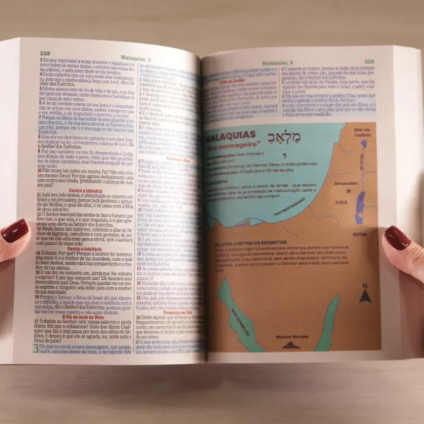 BÍBLIA SAGRADA TODOS OS QUE CRERAM NELE E O ACEITARAM ELE DEU O DIREITO DE SE TORNAREM FILHOS DE DEUS HARPA E CORINHOS A - Imagem 4