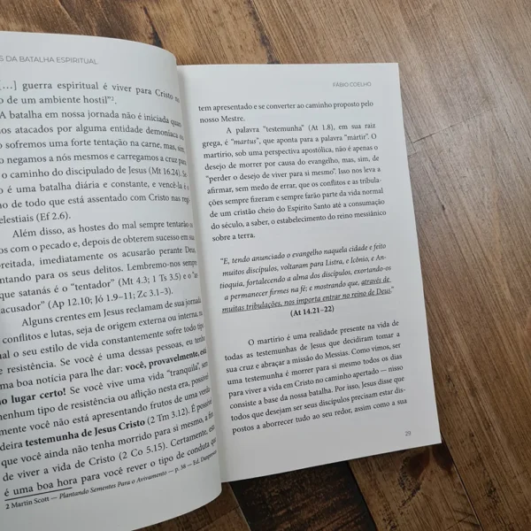 PRINCÍPIOS DA BATALHA ESPIRITUAL FABIO COELHO - Imagem 4
