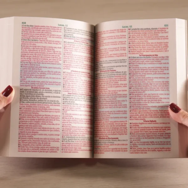 BÍBLIA SAGRADA TODOS OS QUE CRERAM NELE E O ACEITARAM ELE DEU O DIREITO DE SE TORNAREM FILHOS DE DEUS HARPA E CORINHOS A - Imagem 6