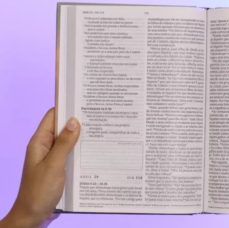 BÍBLIA 365 NVT CAPA DURA LEÃO LETRA GRANDE - Imagem 2