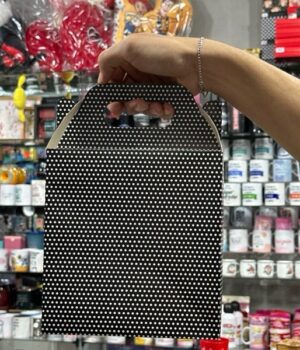 REF: 2933 CAIXA COM ALÇA G 20x11x21CM