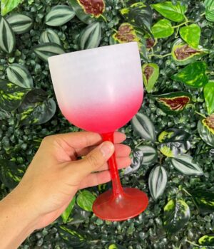 TAÇA DE GIN DEGRADÊ VERMELHO